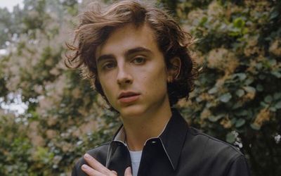 What is Timothee Chalamet Net Worth? All Details Here